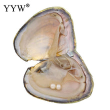 YYW 1PC Inside Natural Freshwater Cultured Love Wish Pearl Oyster Mussel Sh