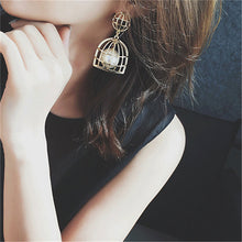 Mom New Korean Simulated Pearl Cage Earrings for women Big Hollow cage earr